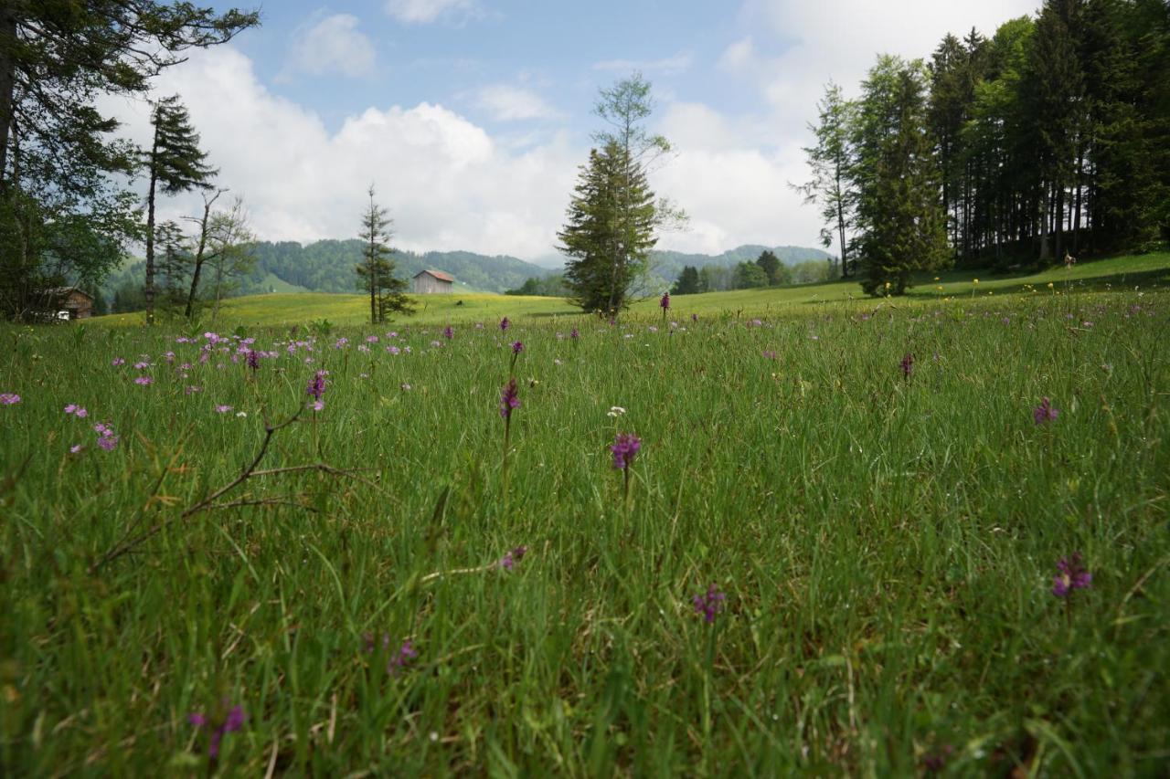 Berghof Voeglerbrand Andelsbuch Exterior foto