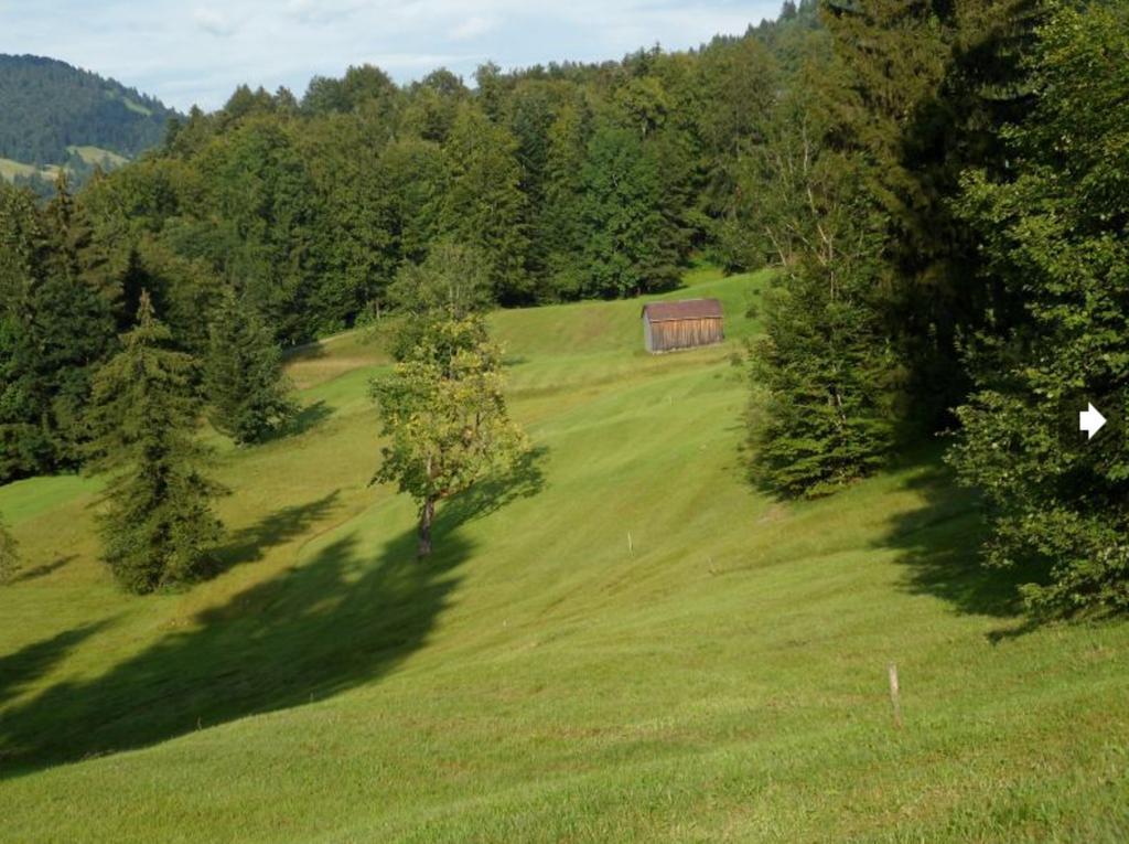 Berghof Voeglerbrand Andelsbuch Exterior foto