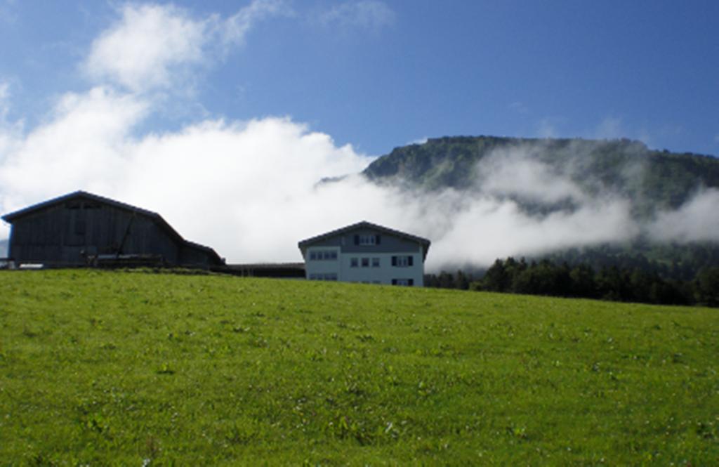 Berghof Voeglerbrand Andelsbuch Exterior foto